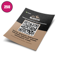 Flyers (100lb Gloss Book)